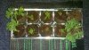 2011-03-22_00-34-34_711.jpg
