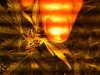 weed 002.jpg