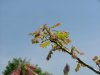 DSCF3569.jpg