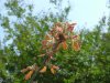 DSCF3571.jpg