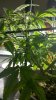 2011-03-25_18-46-36_502.jpg