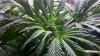 2011-03-25_18-45-56_196.jpg