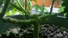 2011-03-25_18-46-28_986.jpg