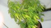 2010 03 24_0006.jpg 2010 03 24_0006.jpg