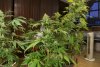 2 Weeks 2 Harvest "Let it Snow!"-25.jpg