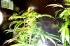 2 Weeks 2 Harvest "Let it Snow!"-26.jpg