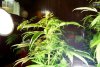 2 Weeks 2 Harvest "Let it Snow!"-27.jpg