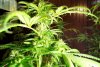 2 Weeks 2 Harvest "Let it Snow!"-28.jpg