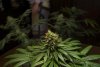 2 Weeks 2 Harvest "Let it Snow!"-36.jpg