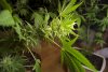 2 Weeks 2 Harvest "Let it Snow!"-44.jpg