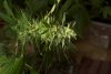 2 Weeks 2 Harvest "Let it Snow!"-48.jpg