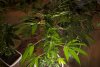 2 Weeks 2 Harvest "Let it Snow!"-72.jpg