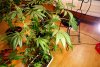 2 Weeks 2 Harvest "Let it Snow!"-74.jpg