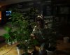 2 Weeks 2 Harvest "Let it Snow!"-84.jpg