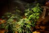 2 Weeks 2 Harvest "Let it Snow!"-87.jpg