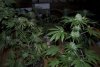 2 Weeks 2 Harvest "Let it Snow!"-92.jpg