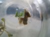 DSCF1157.JPG DSCF1157.JPG