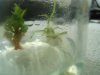 DSCF1154.JPG DSCF1154.JPG