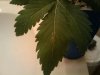2011-03-26 17.13.27.jpg
