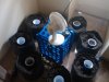 2011-03-26 17.33.55.jpg