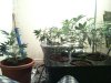 IMG_2407.jpg IMG_2407.jpg