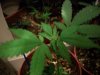 100_0806.jpg