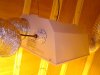 DSC08349.jpg