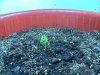 DSC01655.jpg