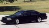 impala9.jpg