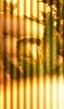 IMAG0874.jpg