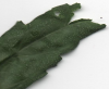leaf-close.png