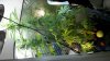 2011-03-28_22-24-52_295.jpg 2011-03-28_22-24-52_295.jpg