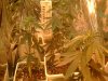 DSC00346.jpg