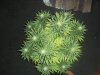 100_0873.jpg