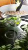 2011-03-29_21-10-19_483.jpg