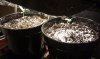 exitstrategy-332694-albums-first-grow-picture1523628-temp-makeshift-reflector.jpg
