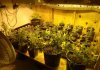 Veg room.jpg