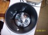 100_2460a.jpg