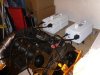 SDC10740.jpg