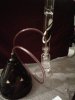 IMG00195-20110326-1842.jpg