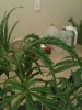 photo9.jpg