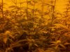 2011-04-02_14-39-13_478.jpg