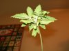 100_0234.jpg