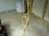 DSCN0571.jpg
