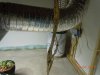 DSCN0570.jpg