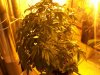 100_2775.jpg
