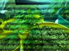 2011-04-03_20-37-14_958.jpg 2011-04-03_20-37-14_958.jpg