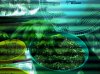 2011-04-03_20-37-06_341.jpg 2011-04-03_20-37-06_341.jpg