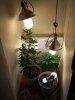 100_1386.jpg