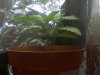 0603082022.jpg